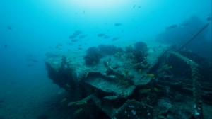 Shipwreck at Chidiya Tapu, Andaman Islands
